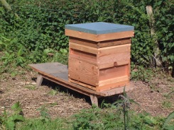 beehive