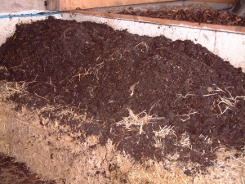 Dock compost